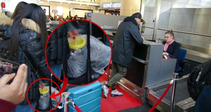 Cenk Tosun'un Yanında Götürdüğü Bidondan Zeytin Çıktı