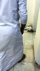 the funny fight of man and dog