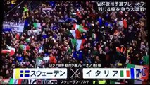 欧州予選プレイオフ イタリアＶＳスウェーデン-Nl