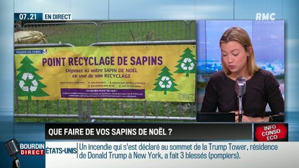 Dupin Quotidien : Que faire de vos sapins de Noël ? - 09/01