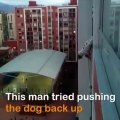 Cet homme prend d'énormes risques pour sauver un chien sur le point de chuter du balcon