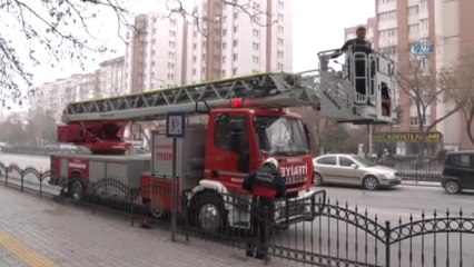 İtfaiyeden Yaralı Kuş Kurtarma Operasyonu