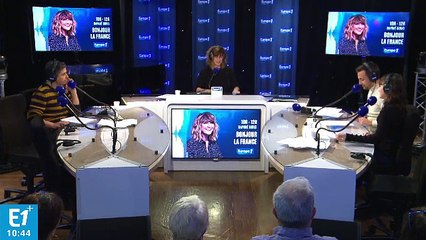 Villeneuve-d'Ascq : un caniche kidnappé contre demande de rançon