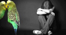 Zihinsel Engelli Kıza Cinsel Tacizi, Muhabbet Kuşları Ortaya Çıkardı