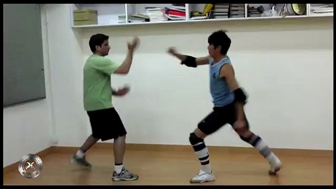 videoplayback