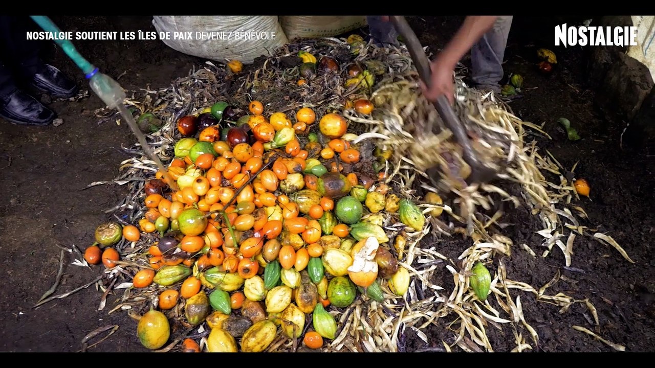 Opération Iles de Paix : les avocats de Lydia