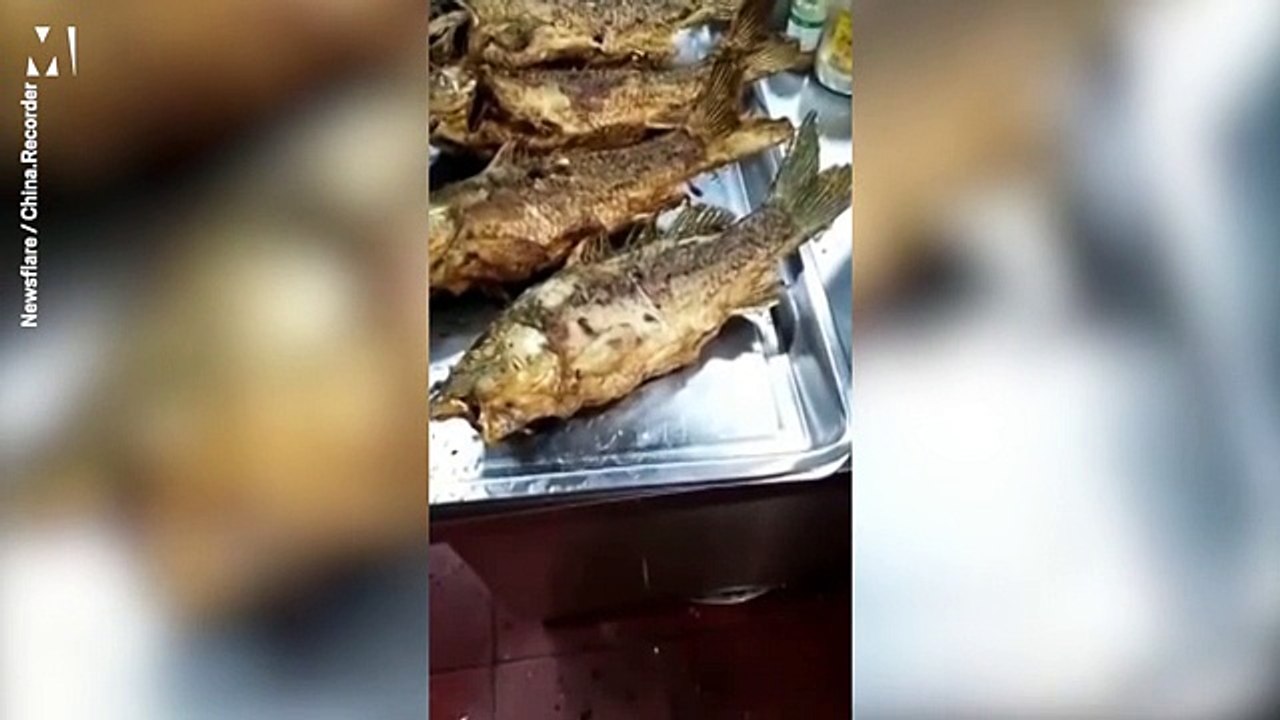 Un poisson frit se tortille encore ! Est-il bien mort ?