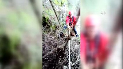 Keçi Kurtarma Operasyonu