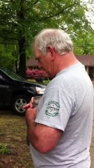 Man Releases Squirrel into the Wild And then...