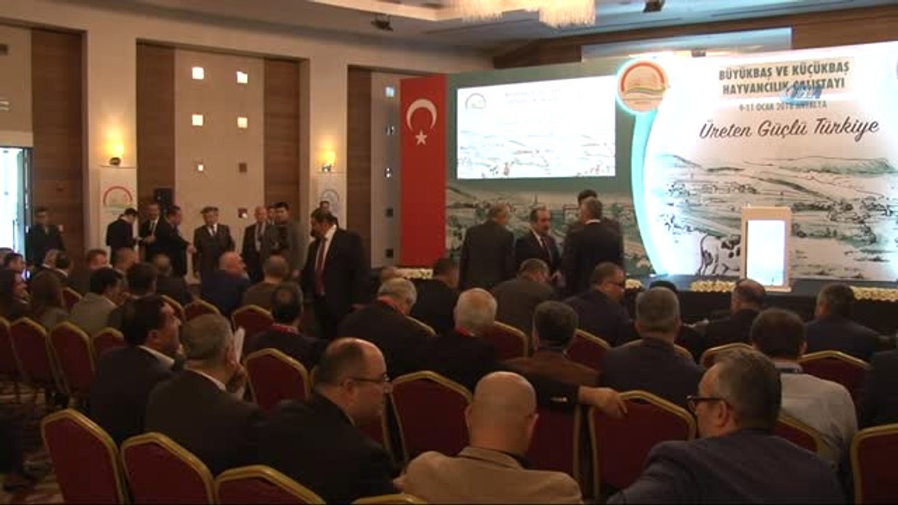 Gıda Tarım ve Hayvancılık Bakanlığı Hayvancılık Genel Müdürü Koçak: "Hayvancılık Sektörünün Önü...