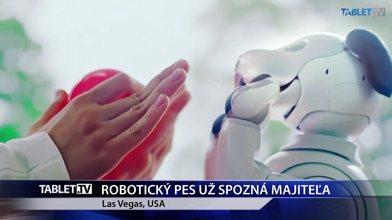 ROBOTICKÝ PES UŽ SPOZNÁ MAJITEĽA