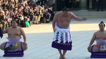 Sumo: un rituel du Nouvel An dans l'ombre des scandales