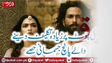 Won't allow the release of film Padmavat in Rajasthan, says Raje govt