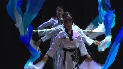 평창 오는 北 태권도...남북한 개막식 깜짝 공연? / YTN