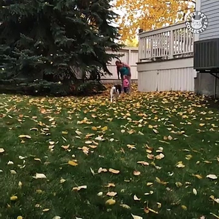 When you are the clumsiest person you know... 