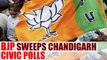 BJP sweeps civil polls in Chandigarh, wins all 3 mayoral seats | Oneindia News