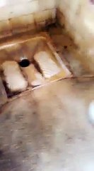 L'état crasseux des étoiles du Consulat du Sénégal au Maroc