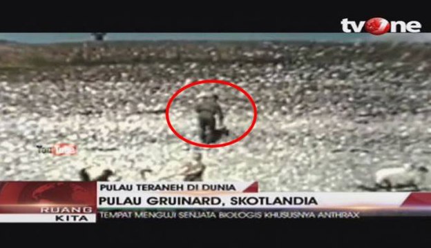 Pulau-pulau Teraneh di Dunia