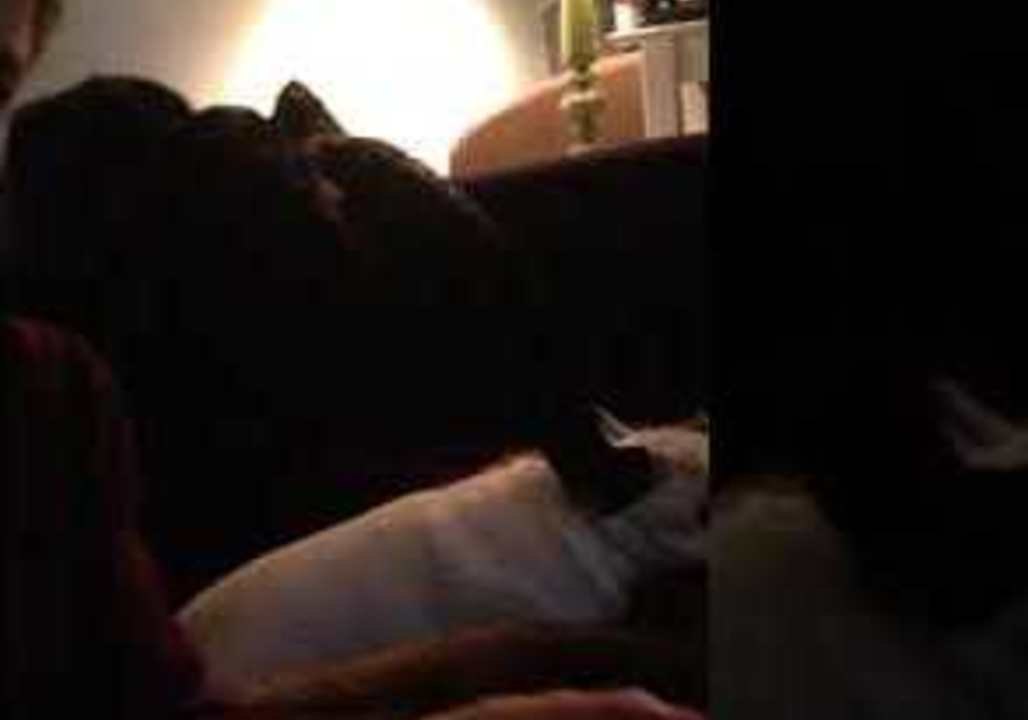 Playful French Bulldog Reacts to Snapping