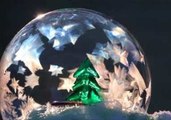 Natural Snow Globe Made With Liquid Bubble in Freezing Weather