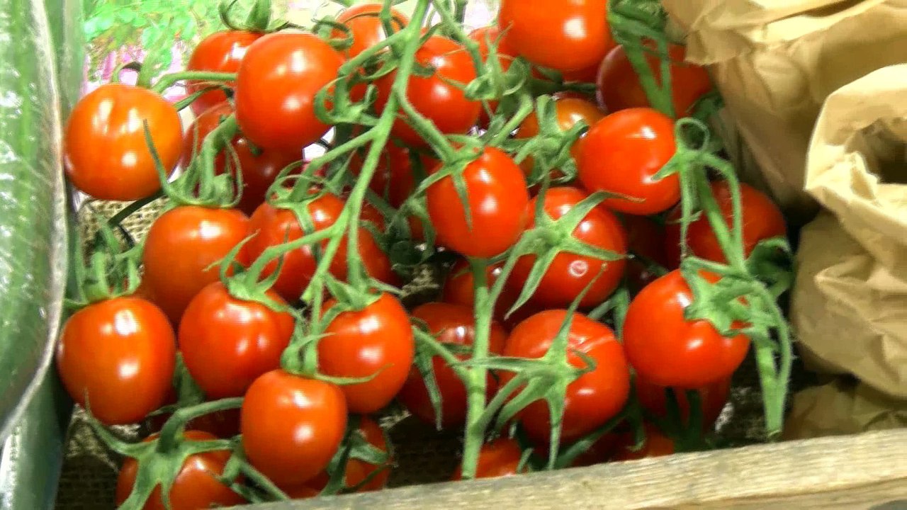 New Year New Veg