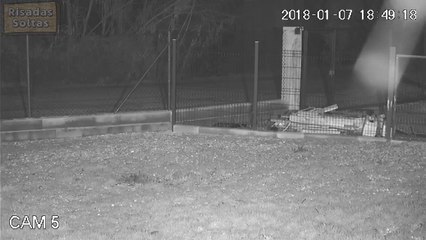 Man abandons dog by throwing him into the kennel