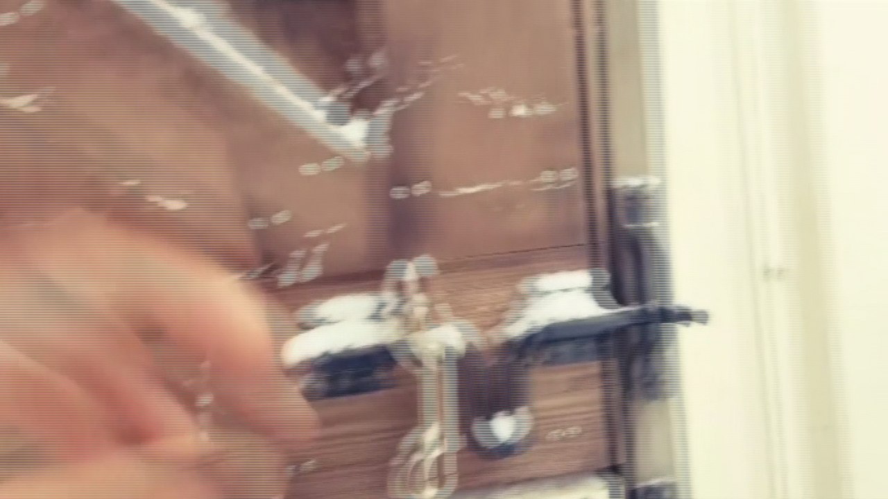 Des chevaux voient la neige pour la première fois, découvrez leur étonnante réaction (vidéo)