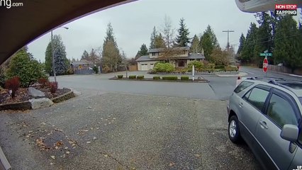 Une femme vole un colis devant une maison mais son plan échoue (vidéo)