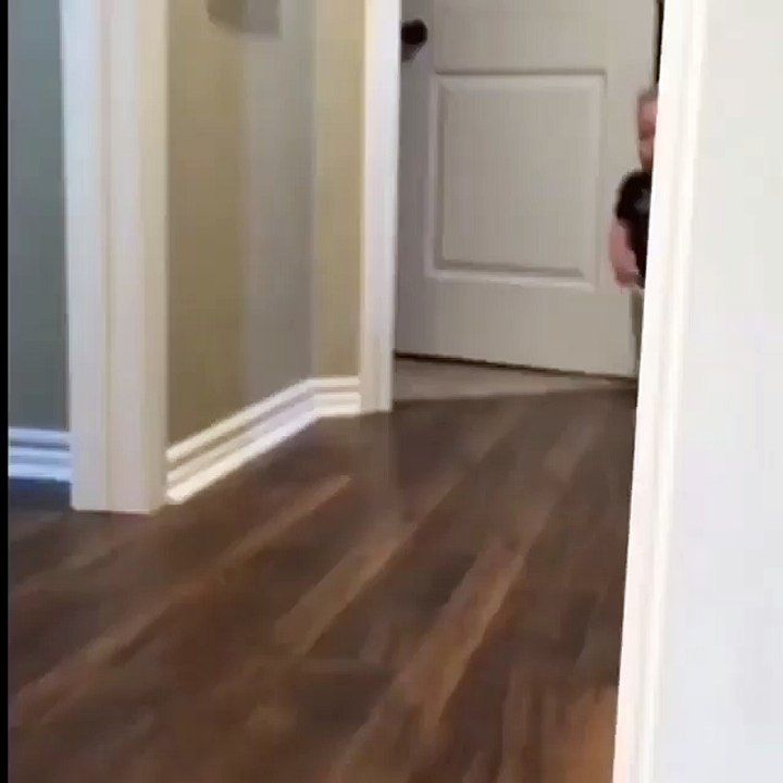 Very funny video