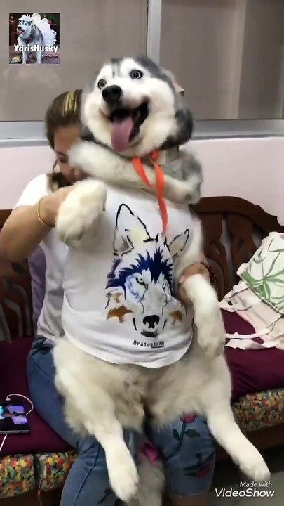 Ha ha hi hi hi hi,... i love you