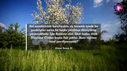 Bayanlar Dikkat, Bu Video Sİzin İçin