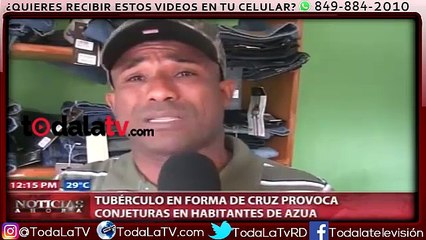 Tubérculo en forma de cruz provoca conjeturas en habita-Video