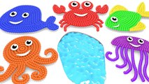 Learning Colors with Fish and Sea animals Shapes and Lollipops 3D for Children and Kids