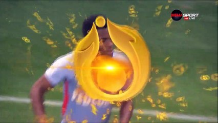 0-1 Thomas Lemar Goal France  Coupe de la Ligue  Quarterfinal - 09.01.2018 OGC Nice 0-1 AS Monaco
