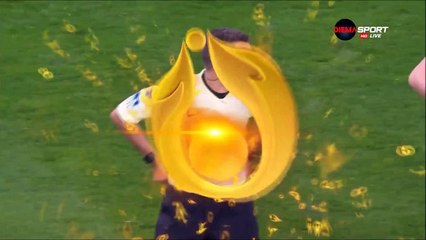 Alassane Pléa Goal - OGC Nice vs AS Monaco 1-1 09.01.2017 (HD)