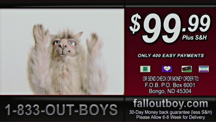 Fall Out Boy - Wilson (Expensive Mistakes)