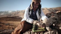 ‘Ghosts Of The Mountains’ Disneynature Trailer