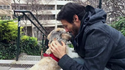 Je suis J'AIME MON CHIEN