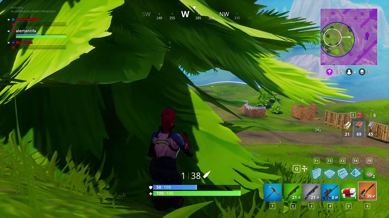 Fortnite_20180110010543