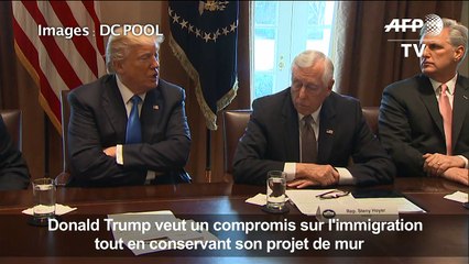 Donald Trump s'affiche en négociateur en chef sur l'immigration