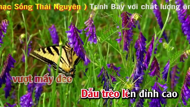 Karaoke - Liên Khúc Nhạc Sống Trữ Tình Đặc Biệt Vol 1- Organ Minh Công