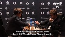 Norwegian Carlsen wins third World Chess Championship