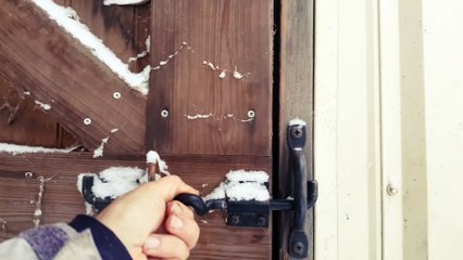 La réaction amusante de deux chevaux qui découvrent la neige