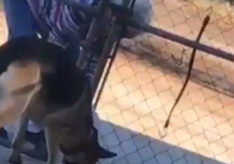 The Power of Christ Compels Grandma to Douse Everything in Holy Water - Even the Dog