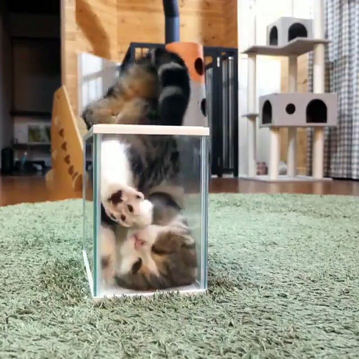 help me now!!!!