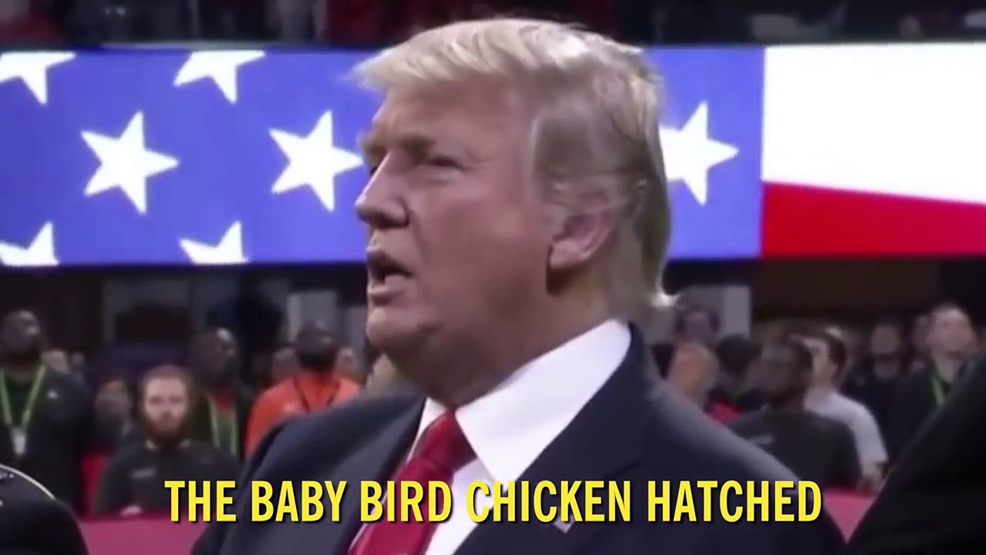 TRUMP ANTHEM — A Bad Lip Reading of Donald Trump