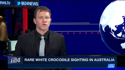 i24NEWS DESK | Rare white crocodile sighting in Australia | Wednesday, January 10th 2018