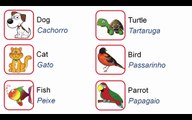 Curso de inglês para crianças - Aula 25 - My pets