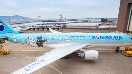 [기업] 대한항공, 평창동계올림픽 홍보 항공기 운항 / YTN