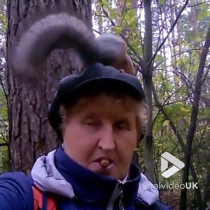 Cet écureuil mange direct dans la bouche de cette femme en pleine forêt !